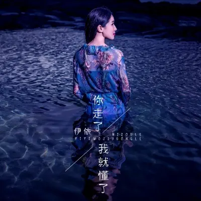 你走了我就懂了（专辑：你走了我就懂了） - 11铱铱封面