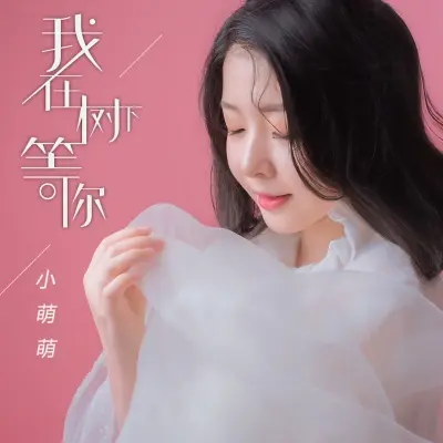 我在树下等你封面