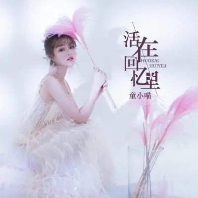 活在回忆里封面