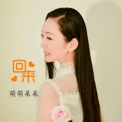 回来封面