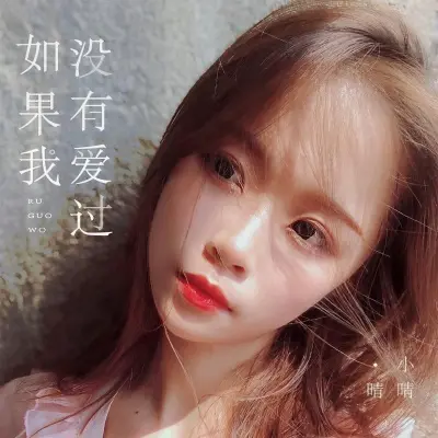 如果我没有爱过封面