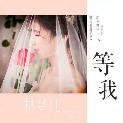 等我 - Dream林梦儿封面