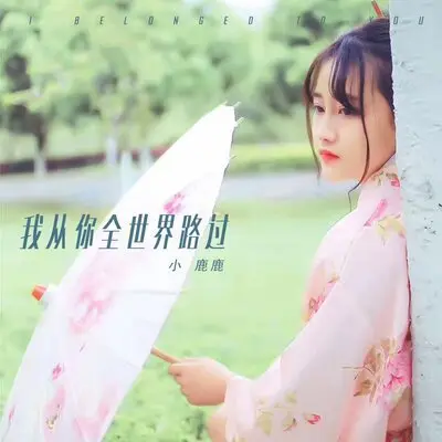 我从你全世界路过封面