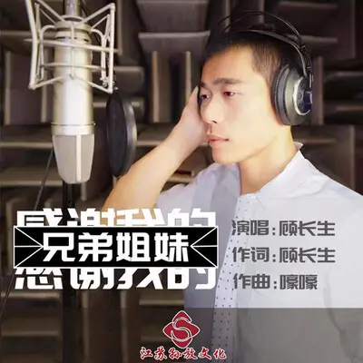 感谢我的兄弟姐妹 (广场舞版)封面