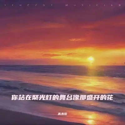 你站在聚光灯的舞台像那盛开的花封面