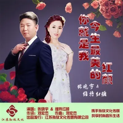 你就是我今生最美的红颜封面