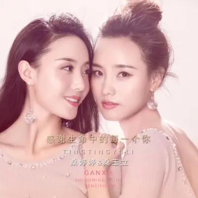 感谢生命中的每一个你 (转笛演奏版) - 桑婷婷 / 桑玉立封面