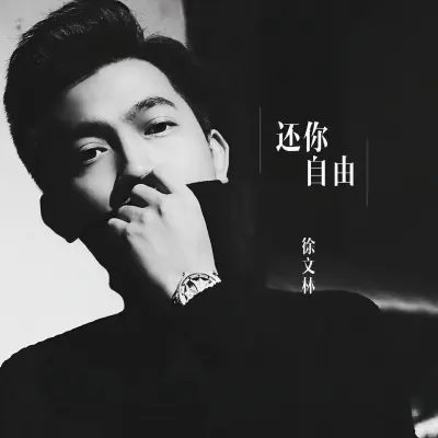 还你自由封面