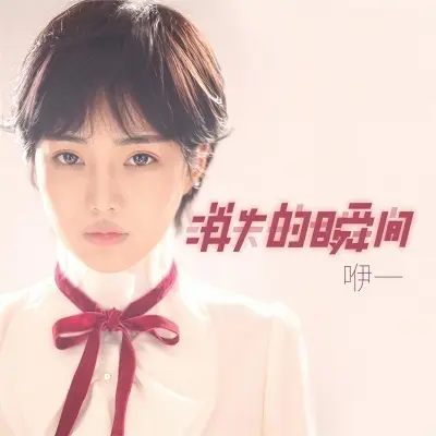 消失的瞬间封面