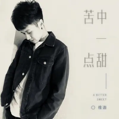 苦中一点甜 - 维迦封面