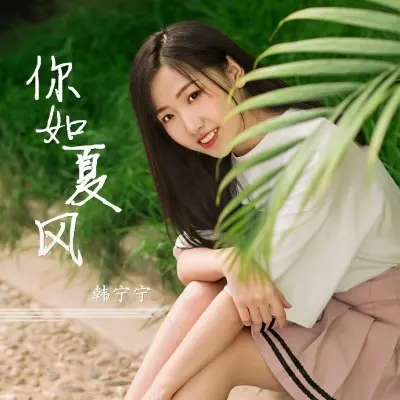 你如夏风封面