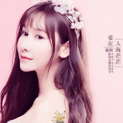 爱在人海茫茫封面