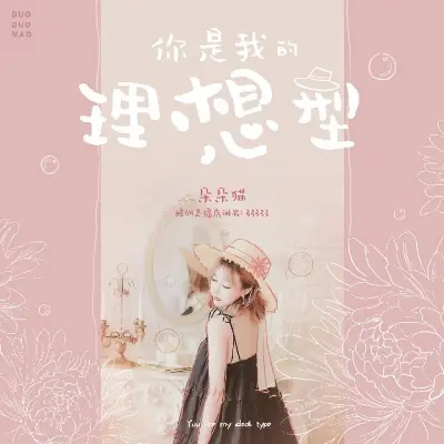 你是我的理想型封面