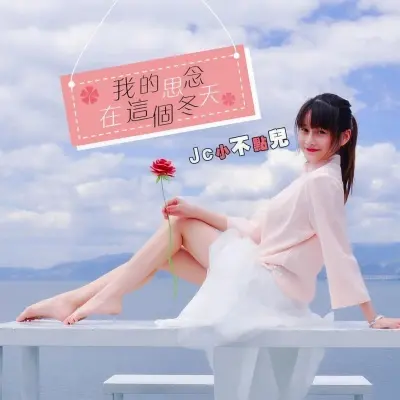 我的思念在这个冬天封面