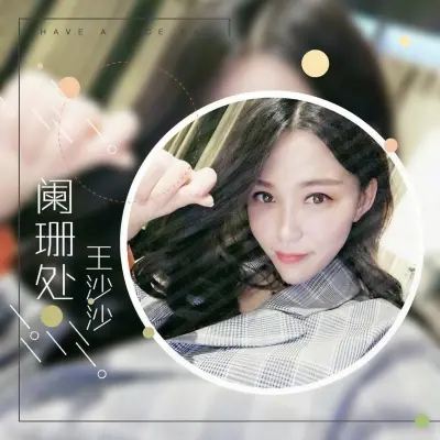 阑珊处封面