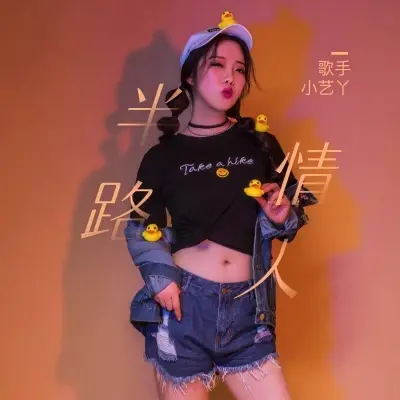 半路情人封面