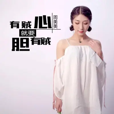 有贼心就要有贼胆封面