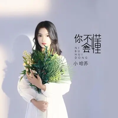 你不会懂封面