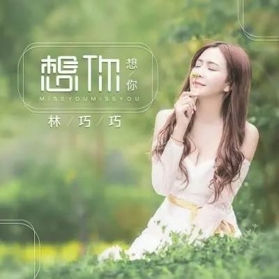 想你想你封面