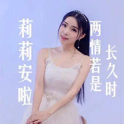 两情若是长久时封面