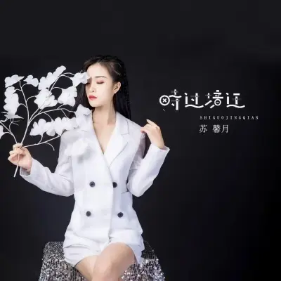 时过境迁封面
