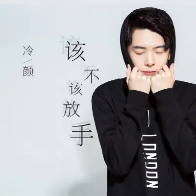 该不该放手封面