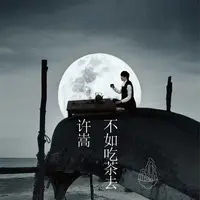 惊鸿一面封面