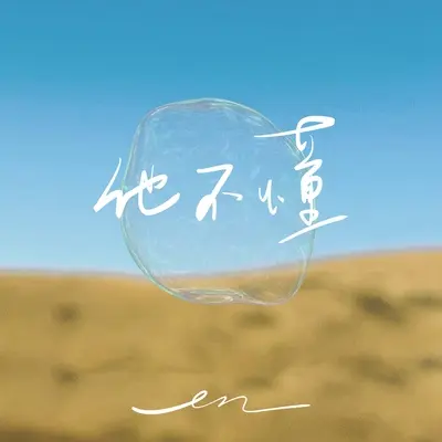 他不懂封面