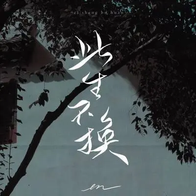 此生不换(伴奏) - en(王翊恩)封面