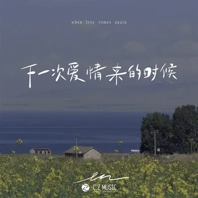 下一次爱情来的时候封面