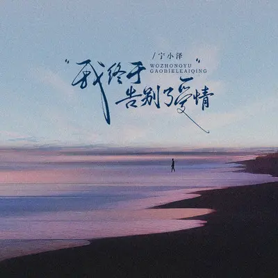 我终于告别了爱情(剪辑版) - 宁小泽封面