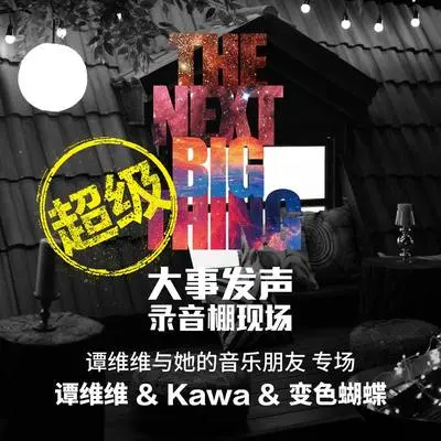 飞（Live版） - 谭维维封面