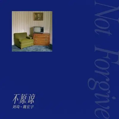 不原谅封面