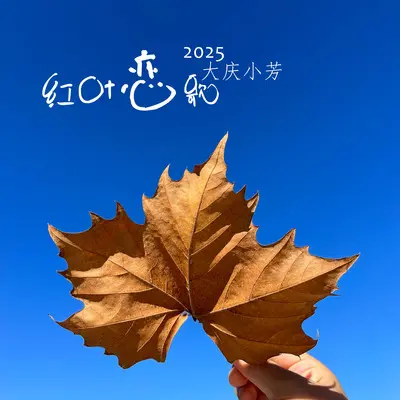 红叶恋歌（2025）伴奏 - 大庆小芳封面