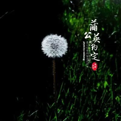 慢慢封面