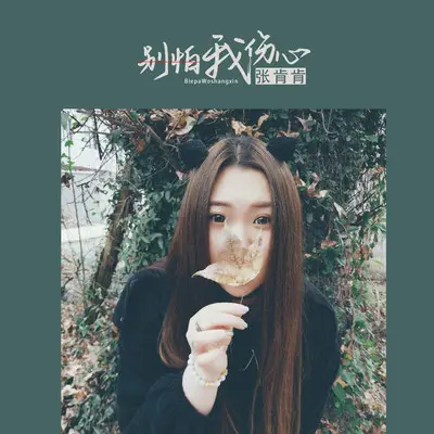 别怕我伤心封面