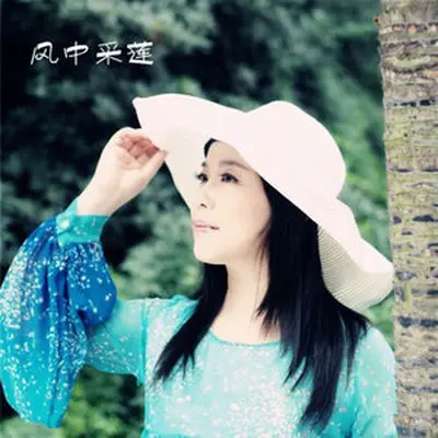 人面桃花 - 风中采莲封面