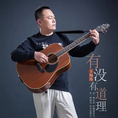 有没有道理封面