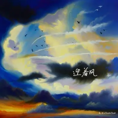 迎着风封面