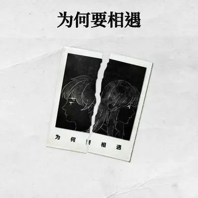为何要相遇封面