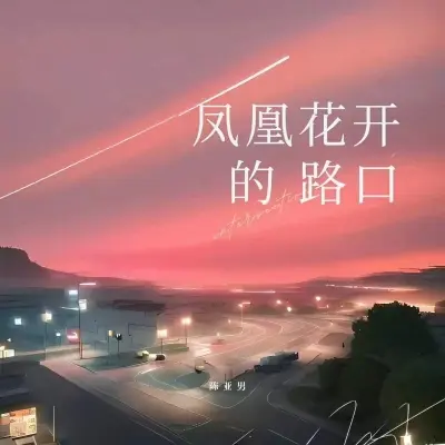 凤凰花开的路口封面