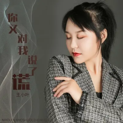 你又对我说了谎 (完整版) - 王小叶封面