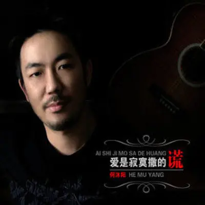 爱是寂寞撒的谎封面