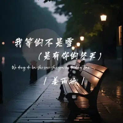 我等的不是雪 (是有你的冬天)封面