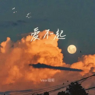 爱不起封面