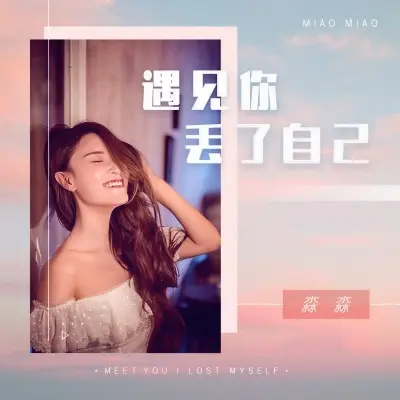遇见你丢了自己封面