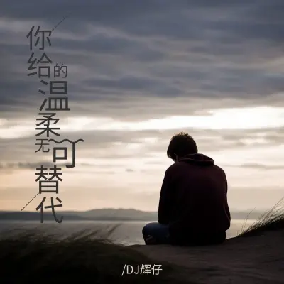 你给的温柔无可替代 (完整版)封面