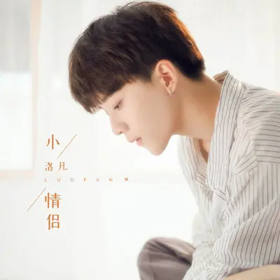 小情侣封面