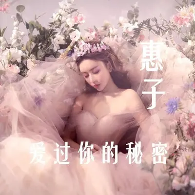 爱过你的秘密封面