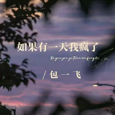 如果有一天我疯了封面